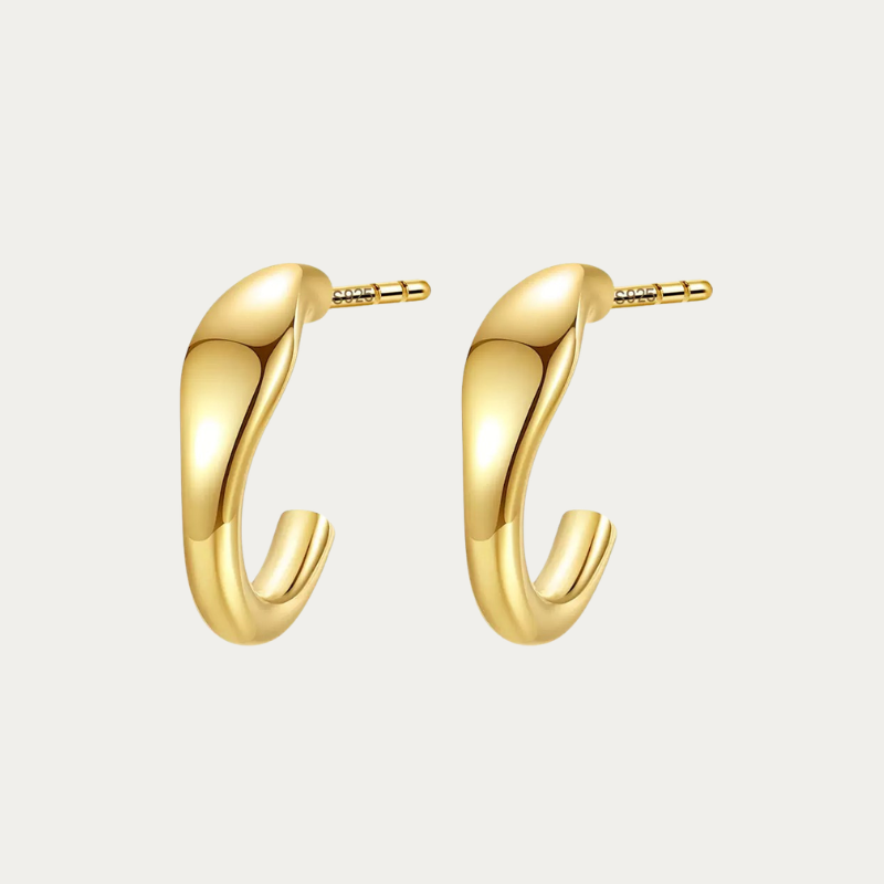 CD earring