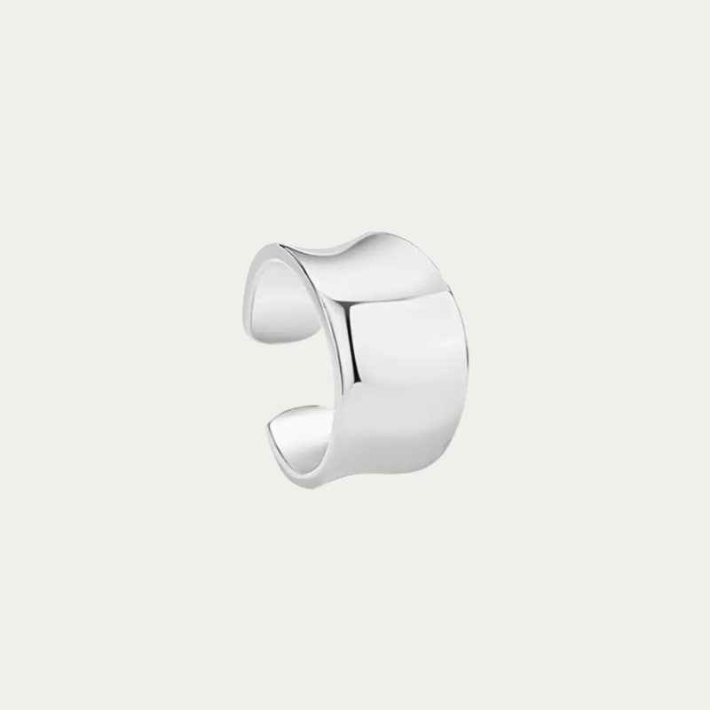 CD earring