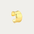 CD earring