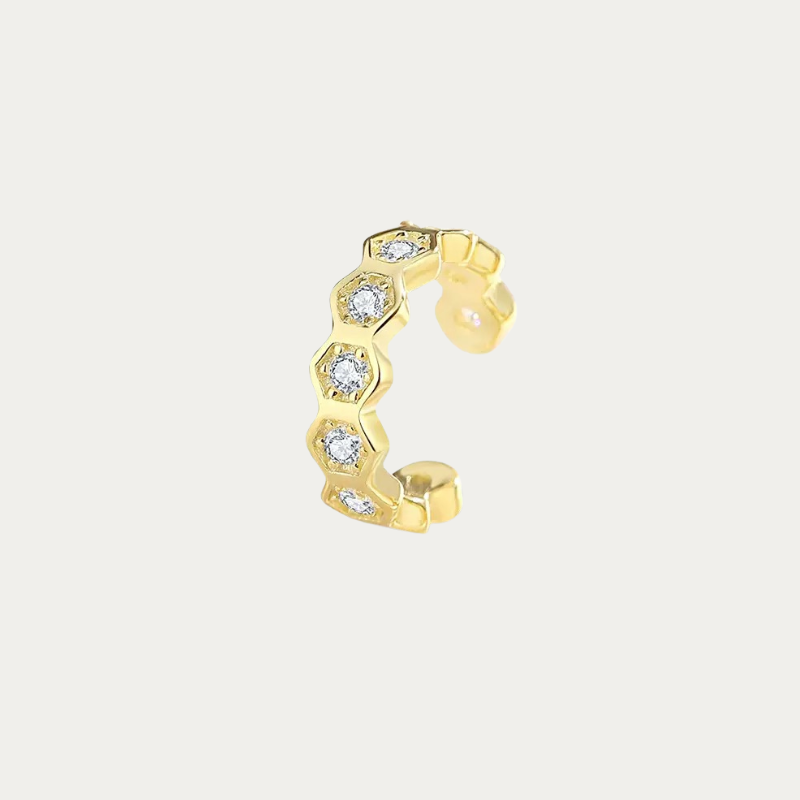 CD earring