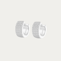 CD earring