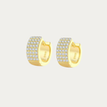 CD earring